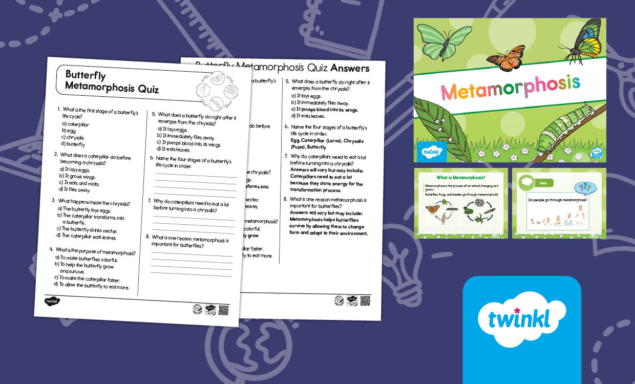 Butterfly Metamorphosis Lesson Pack – PowerPoint & Quiz for K-2nd Grade